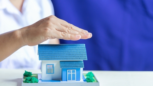 Protect Your House. The concept of Protection and property insurance.
